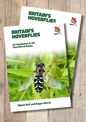 Hoverfly Identification Chart