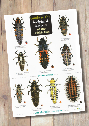 Larvae Identification Chart