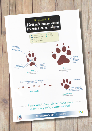 mammal tracks british laminated signs chart