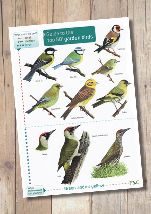 Garden Bird Identifier Chart