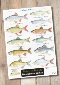 Fish Chart