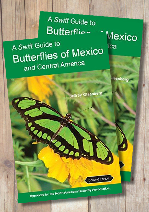 A Swift Guide To Butterflies Of Mexico And Central America