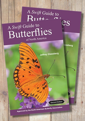 A Swift Guide To Butterflies Of North America 2nd Edition